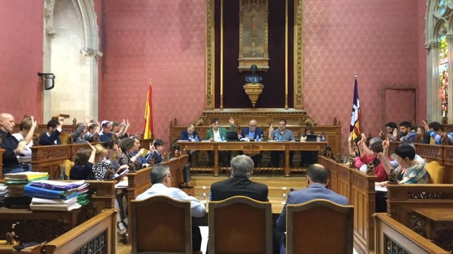 El pleno del Consell vota la declaración como BIC del fondo de arte de Sa Nostra