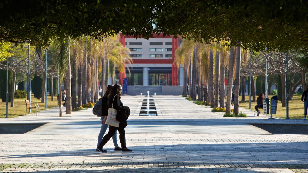 El Centro de Formación Continua de la Universidad de Alicante (ContinUA)  pertenece al Vicerrectorado de Estudios, Calidad y Lenguas.