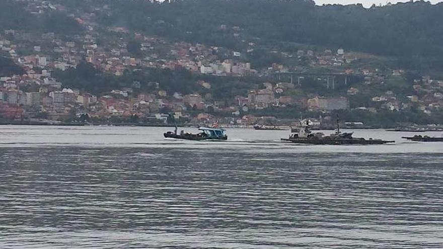 La remisión de la toxina permite reabrir dos polígonos de bateas en Domaio  tras dos meses de cierre total - Faro de Vigo