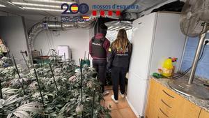 Imagen de la operación policial conjunta entre Mossos y Policía