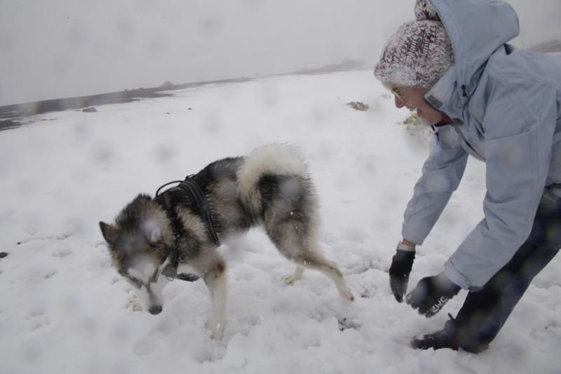 Visita al Teide nieve  | 06/12/2019 | Fotógrafo: Delia Padrón