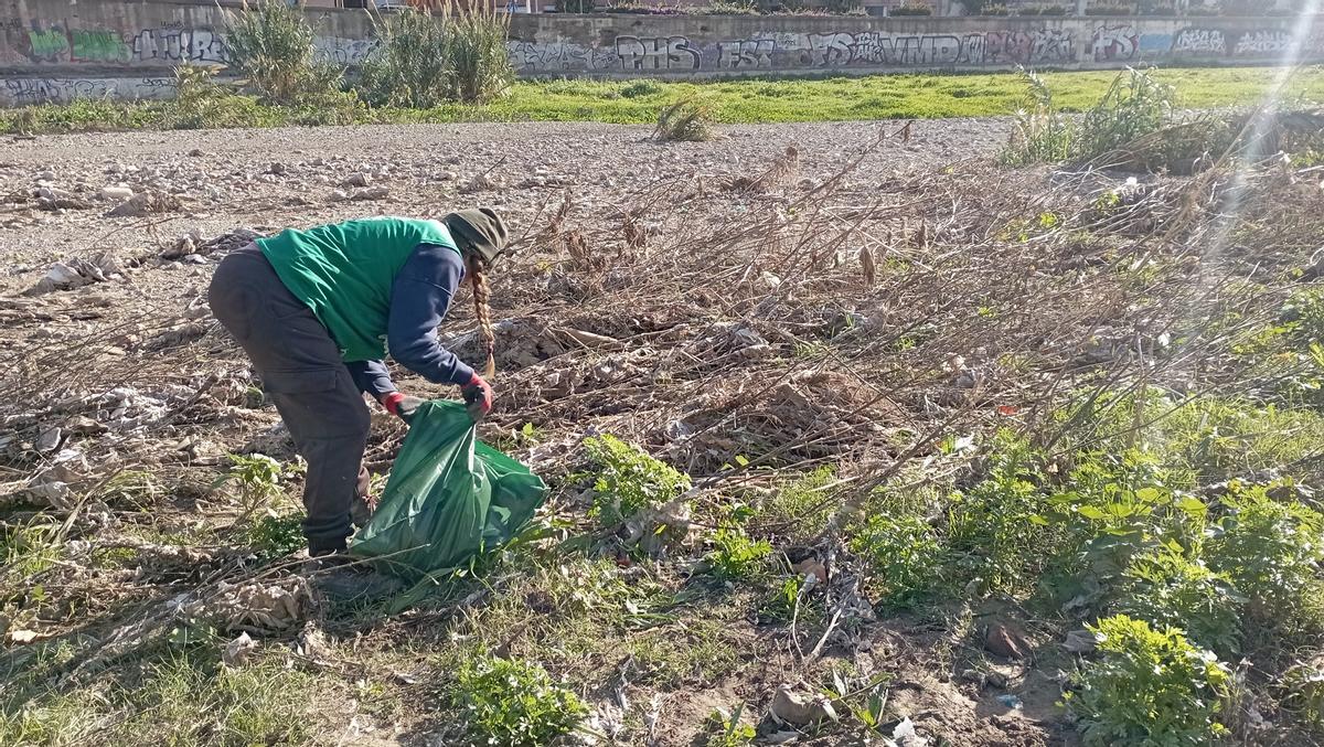 Las toallitas de baño se mezclan con la vegetación en el cauce del Guadalmedina.