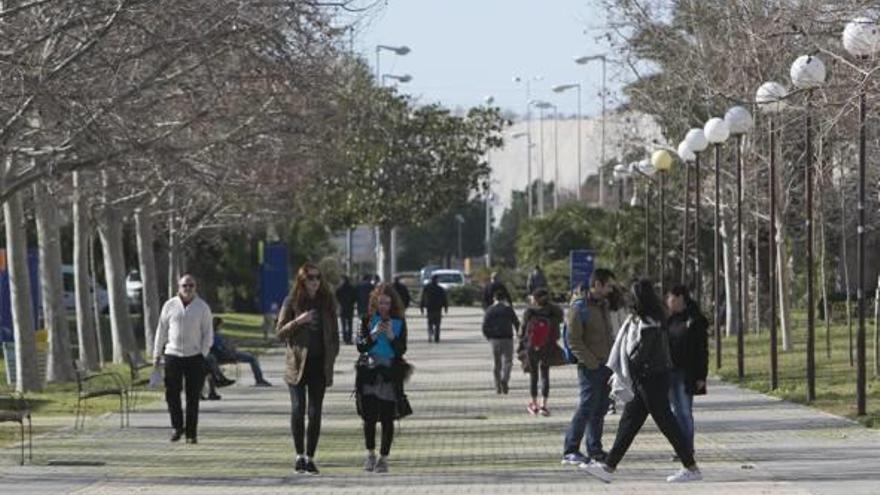 Estudiantes Erasmus en el campus de la Universidad de Alicante.