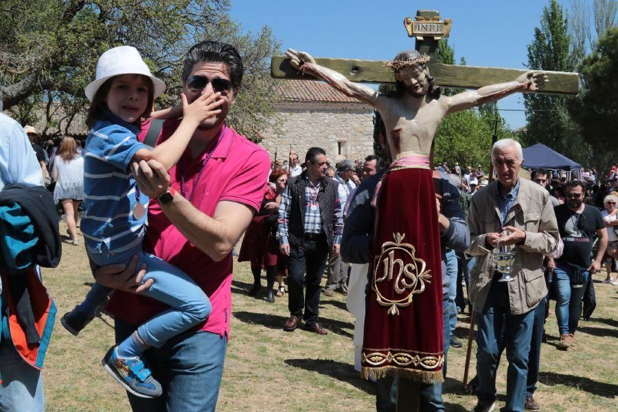 Romería de Valderrey en Zamora