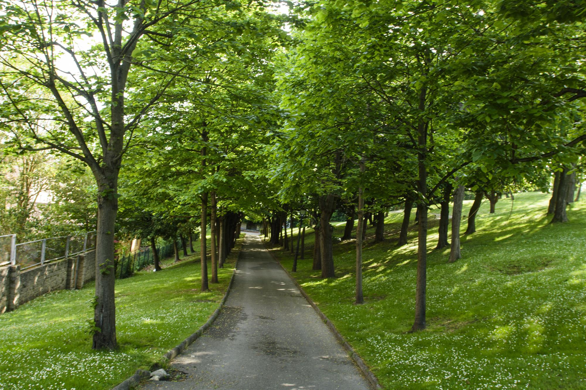 EN IMÁGENES: Así fue la primera visita guiada por los jardines de La Rodriga en Oviedo