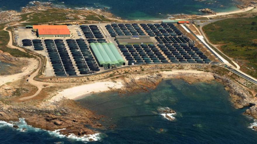 Piscifactoría en el Monte da Vela, en Camariñas (A Coruña).  // Iñaki Abella