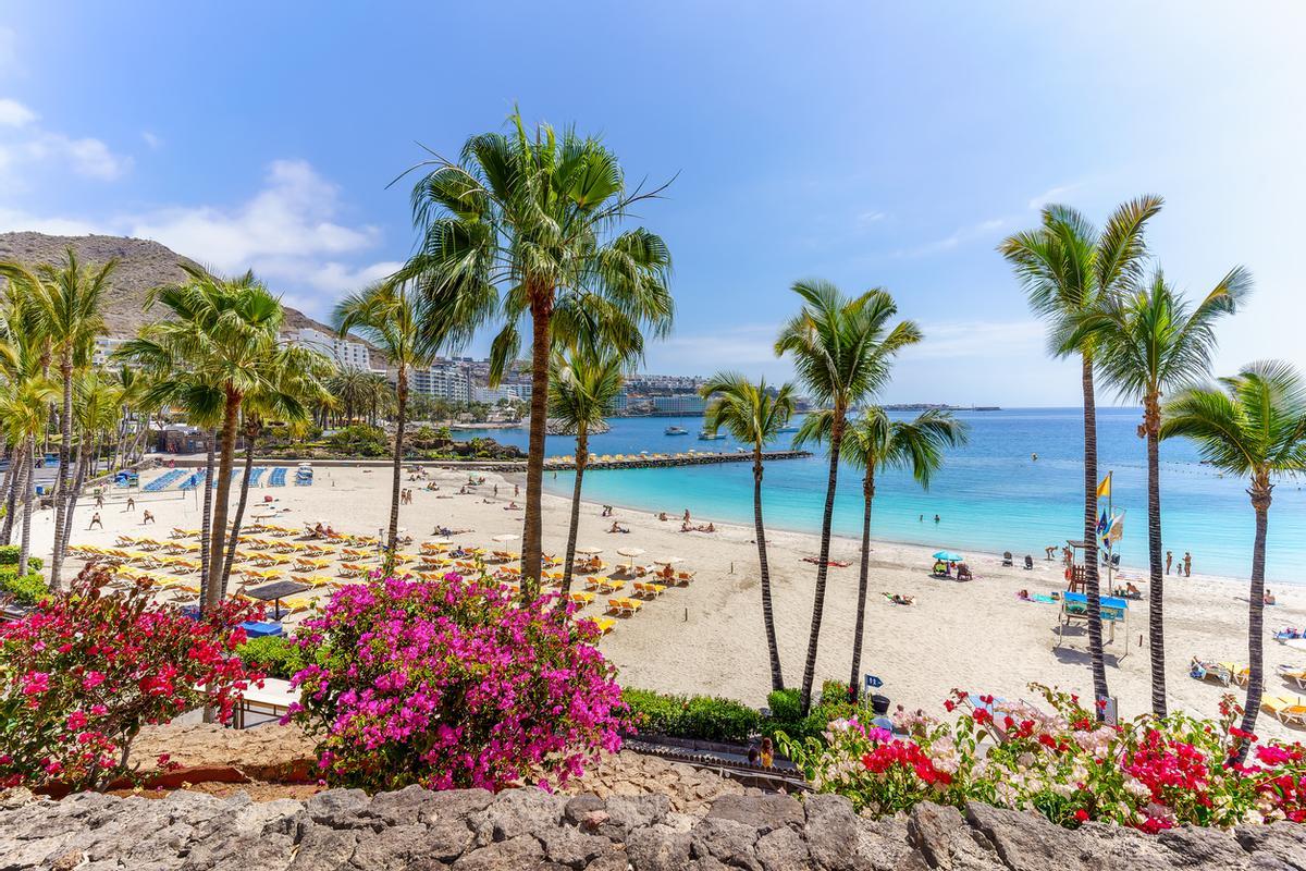 La mayoría de playas de Canarias lucen bandera azul, pero siempre hay excepciones.