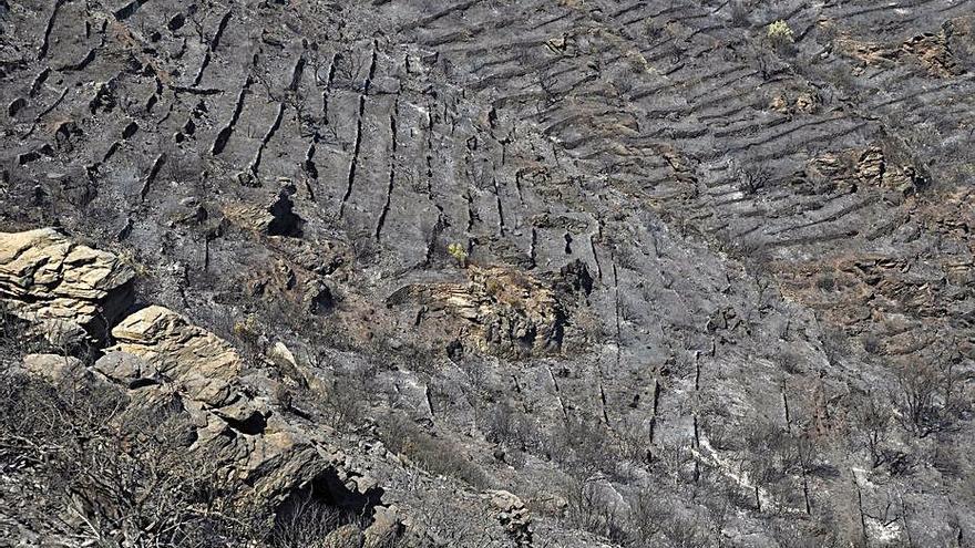 Els Bombers ja han donat per controlat el foc del cap de Creus