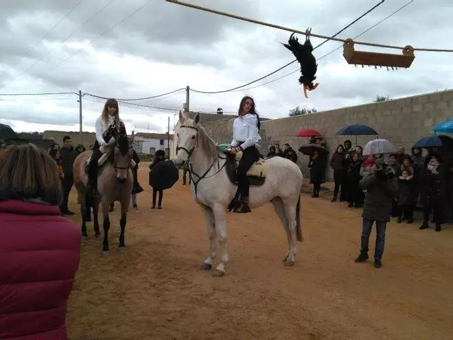 Carrera del gallo en Sanzoles
