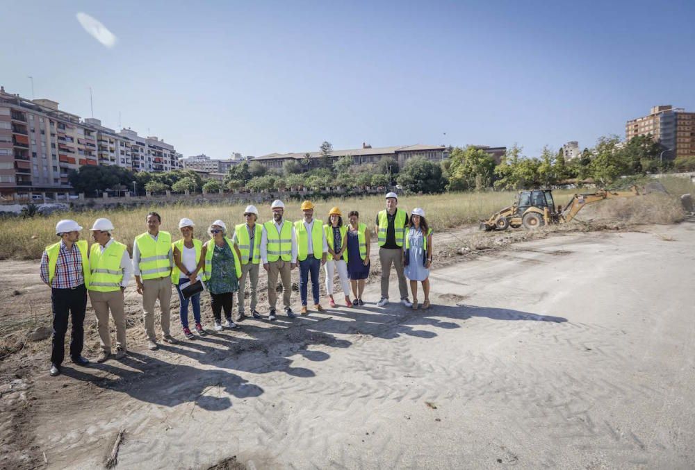 El futuro bosque urbano de Palma, en marcha