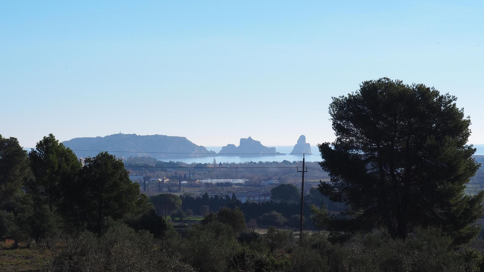 Galeria d'imatges: Les millors fotos de la cursa solidària de l'Oncolliga a les comarques gironines