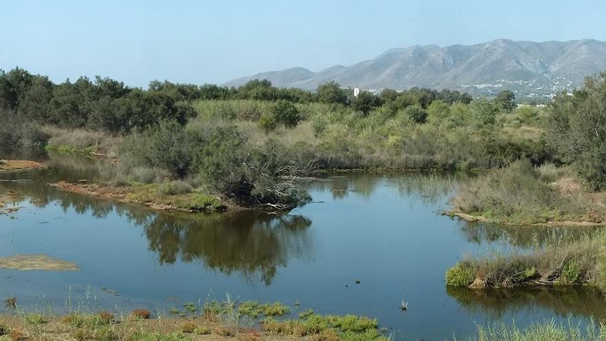 Desembocadura del Guadalhorce