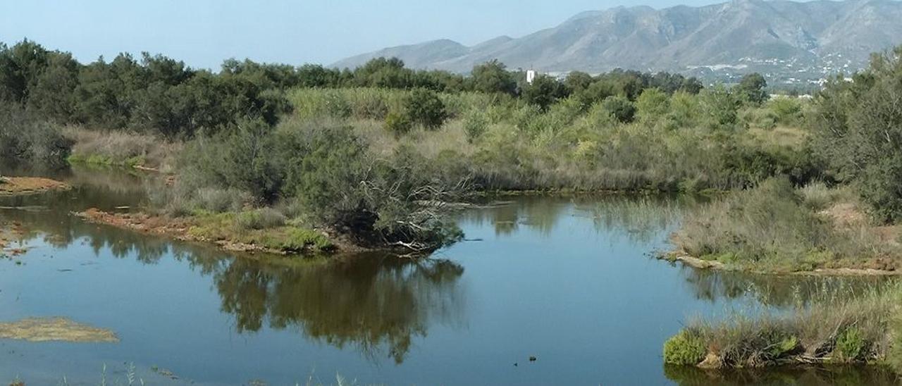 La desembocadura del Guadalhorce.