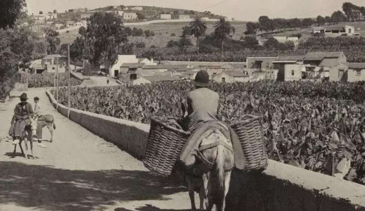 Fotografía histórica de Tamaraceite, entonces parte del municipio de San Lorenzo.