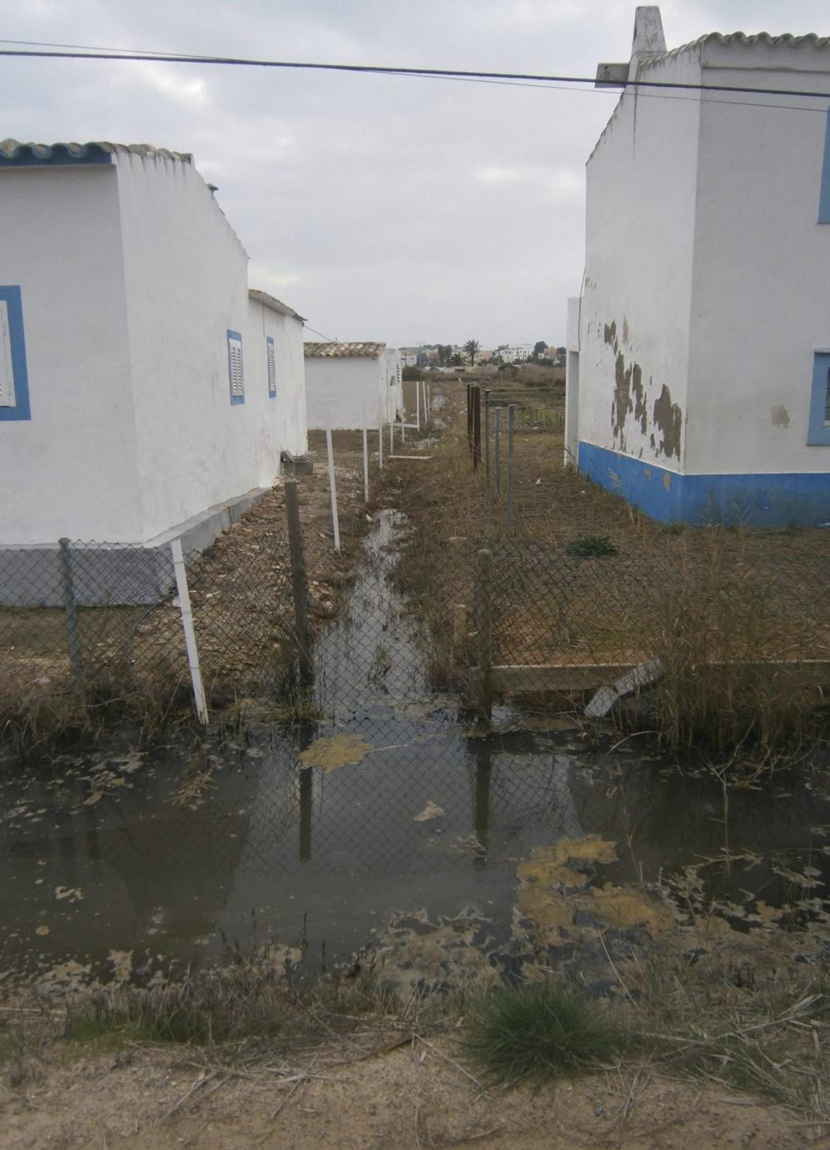 Una de les poques feixes encara avui cultivades. En primer terme, la sèquia mestra i la transversal. / F. C.