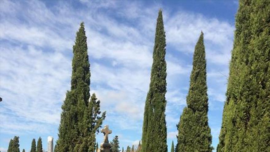 El cementerio dispondrá de una zona común para depositar flores