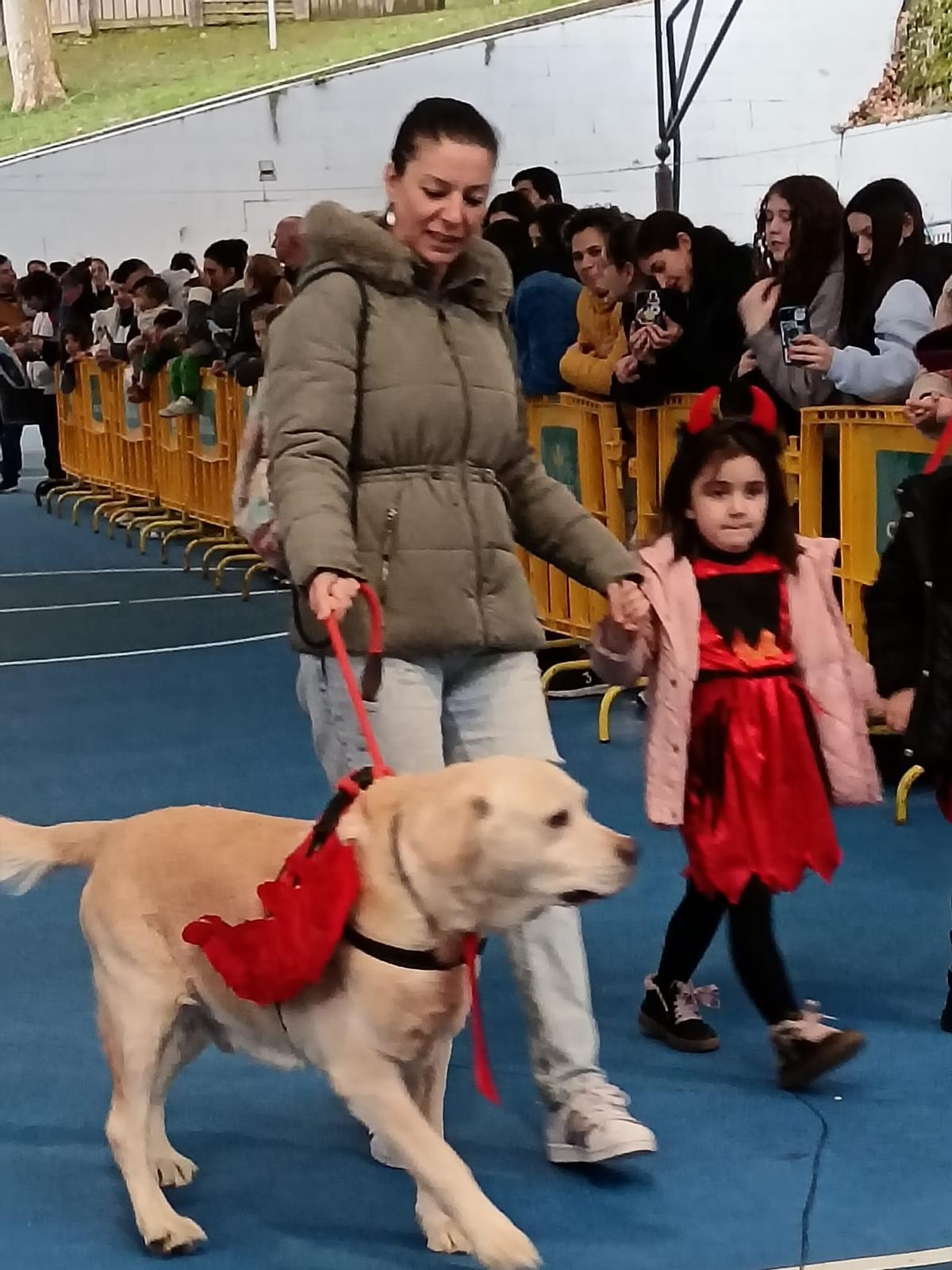 El desfile de mascotas de Grado, en imágenes