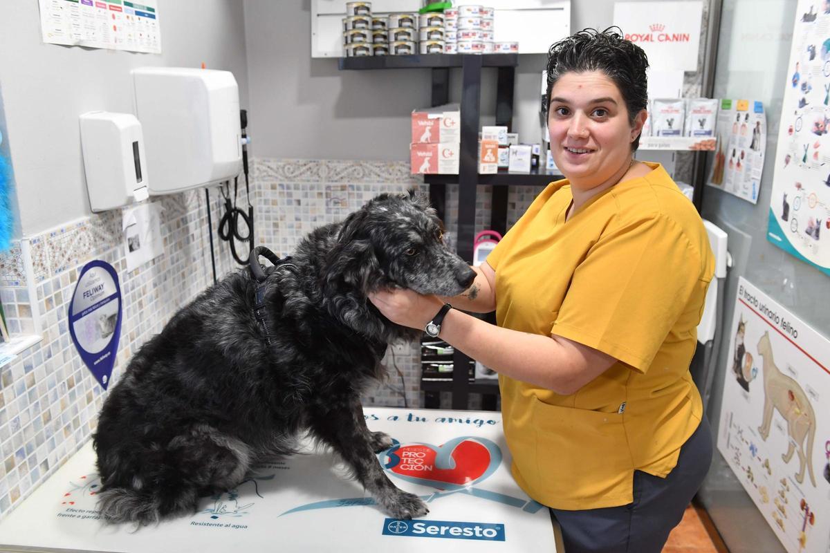 Rebeca Guimarey atiende a un perro en su clínica.