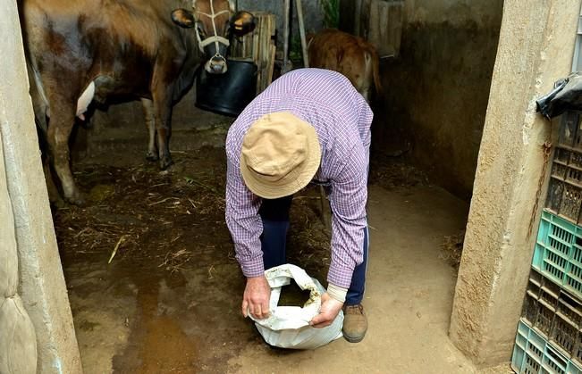 Pepe Guedes, agricultor orgánico