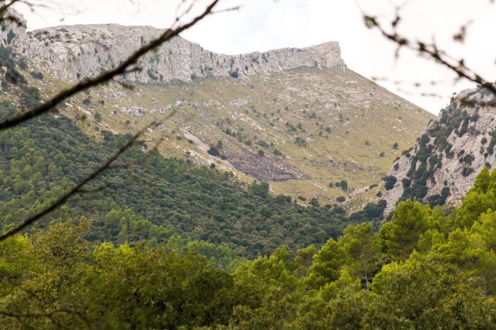 XVI Torneo de pádel Diario de Mallorca