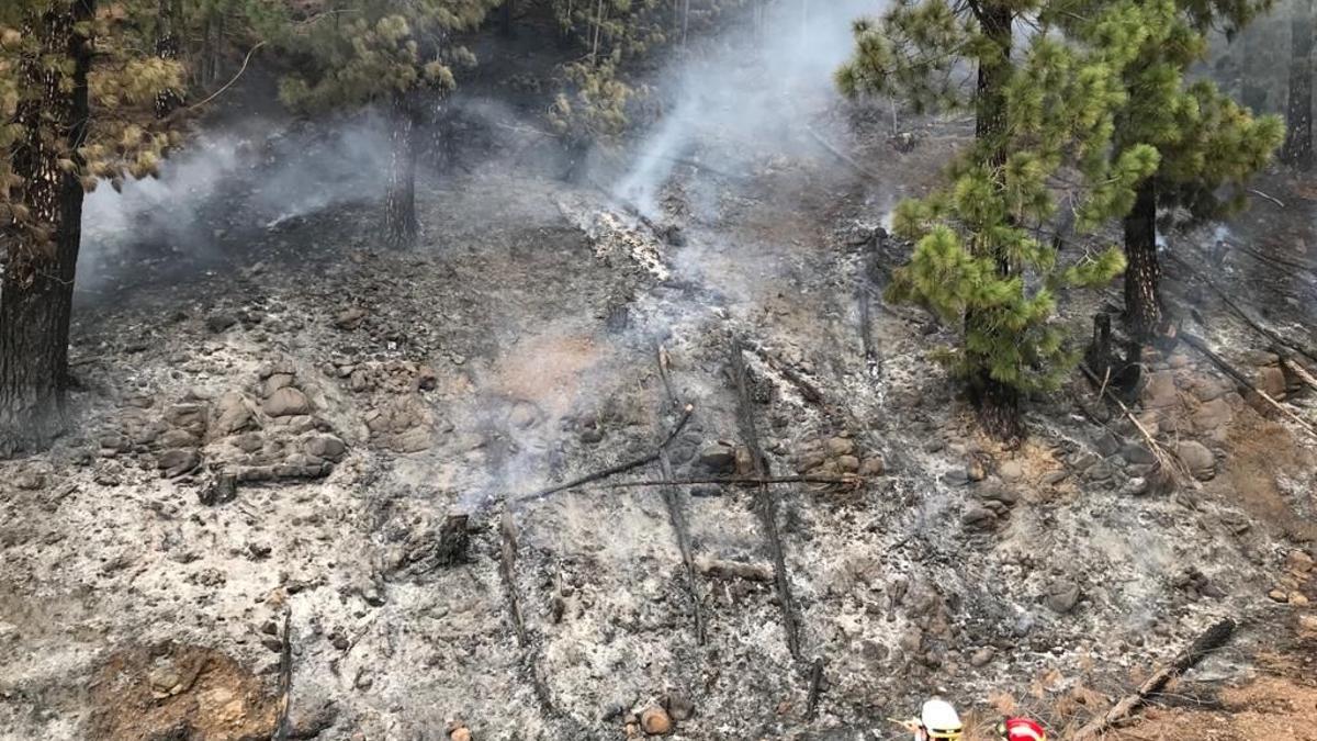 Conato de incendio en Puntagorda