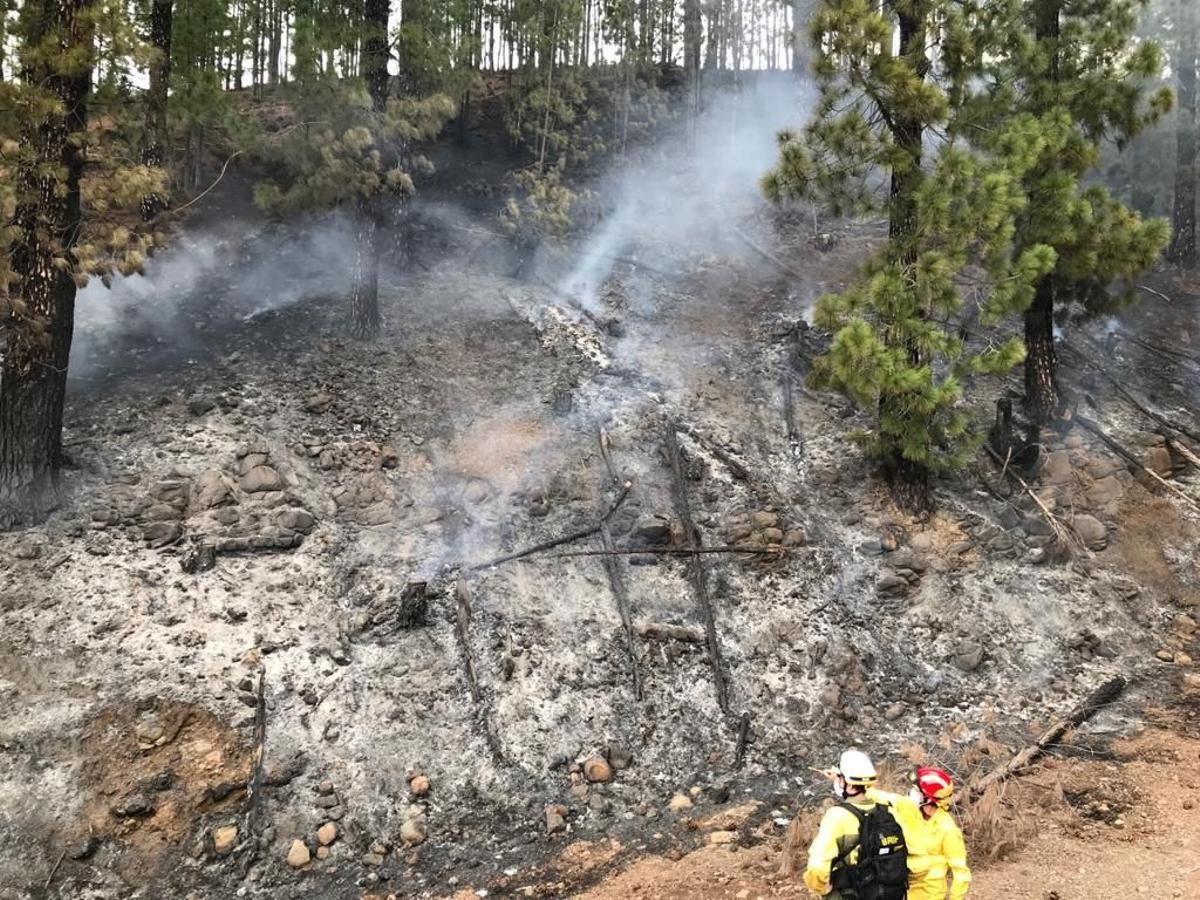 Conato de incendio en Puntagorda