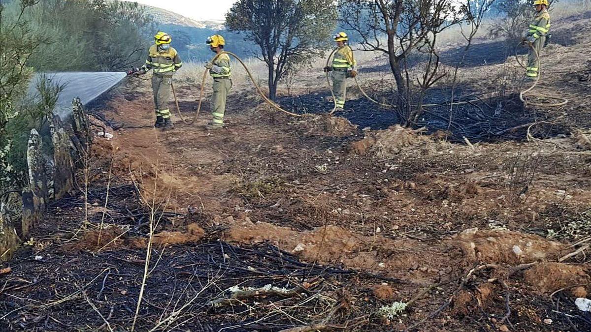 Un retén contraincendios ataja la expansión de un incendio en Aliste.