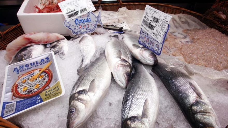 Lubinas expuestas en una pescadería.