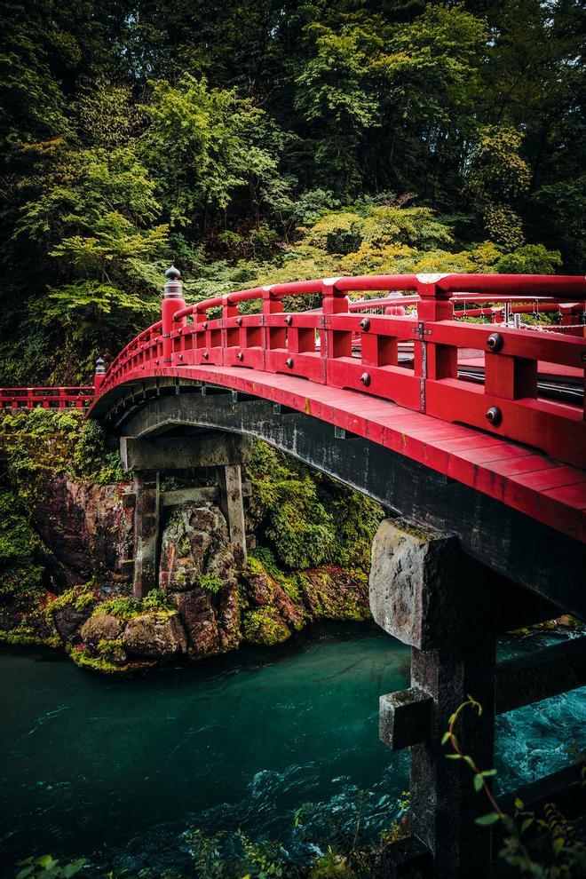 Diarios perdidos Japón