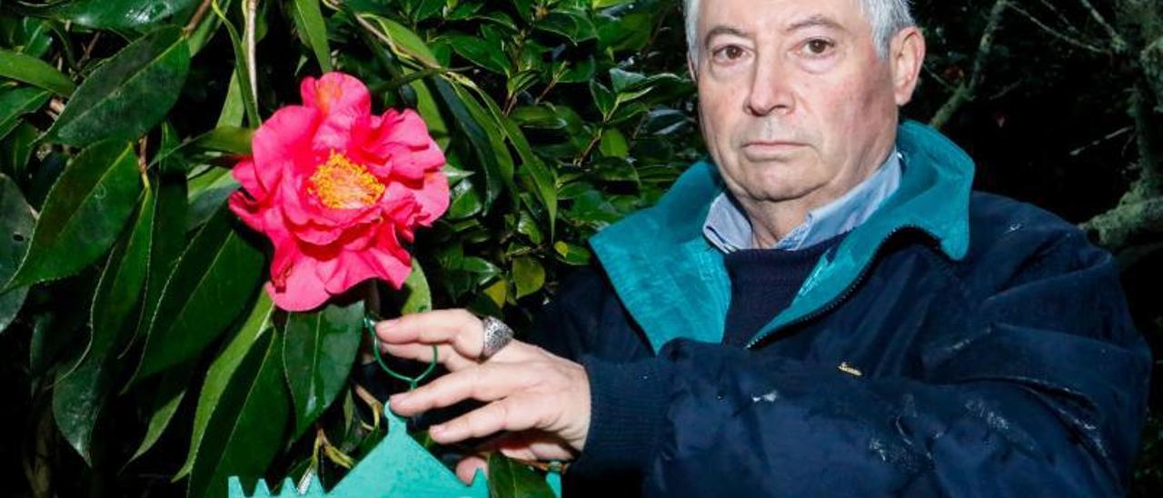 Piñeiro muestra un ejemplar de la camelia que ha bautizado con el nombre de su hija Carlota.   | // IÑAKI ABELLA