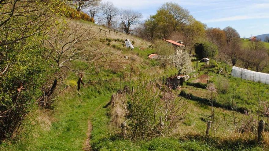 El bosque comestible de Nava