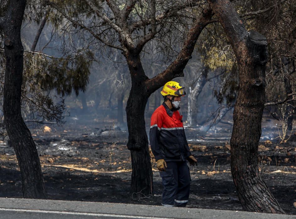 Una imagen del incendio en Santa Pola
