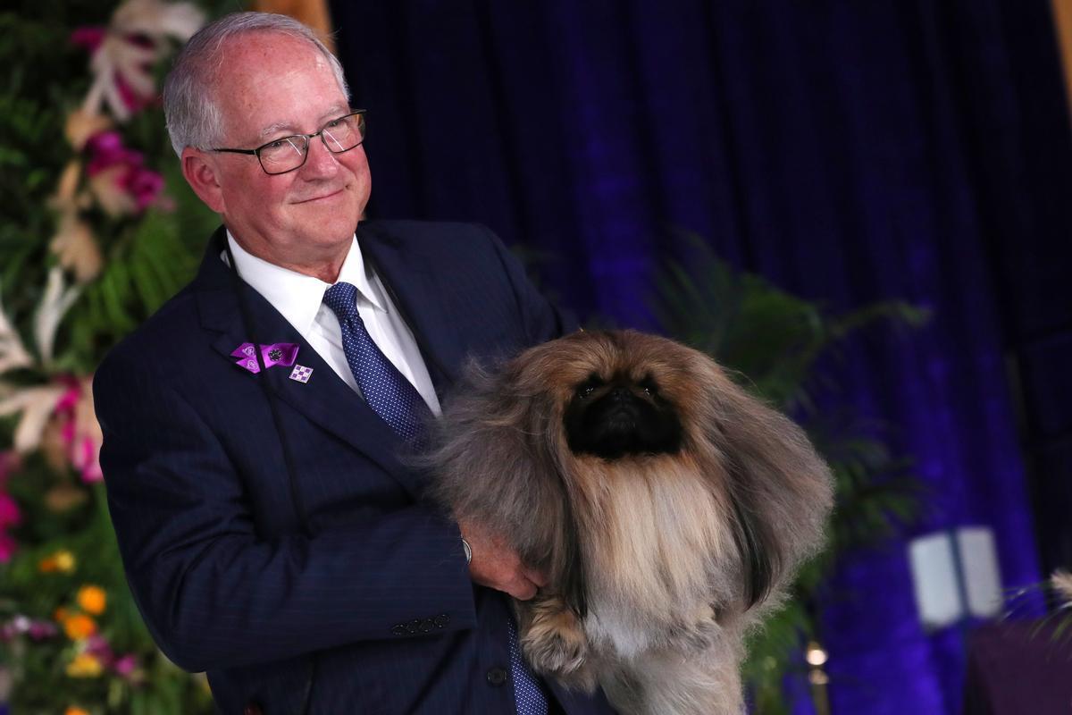 145è Westminster Kennel Club Dog Show