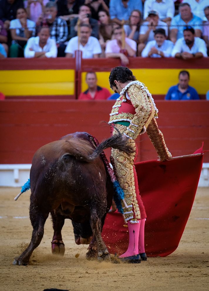 La tauromaquia de José Tomás en Alicante, en imágenes