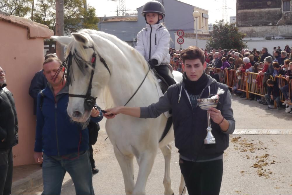 Fiesta de Sant Antoni Abad de Vera