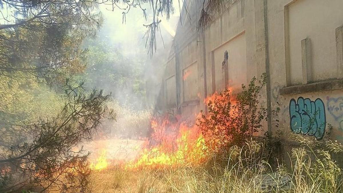 Les flames han afectat vegetació a tocar de l’antiga panificadora de la SAFA de Blanes, aquest diumenge a la tarda