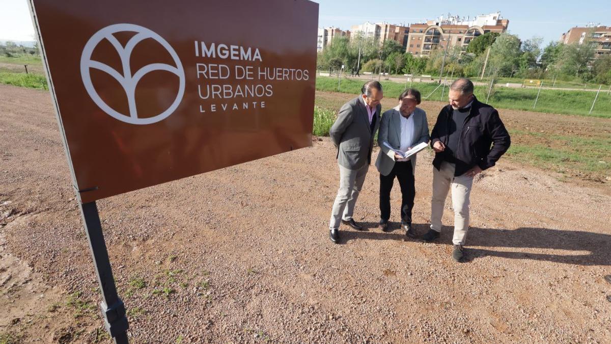 El huerto urbano del Parque de Levante ya está listo para su puesta en marcha.