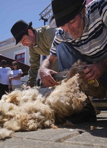 Feria de la Lana de La Orotava