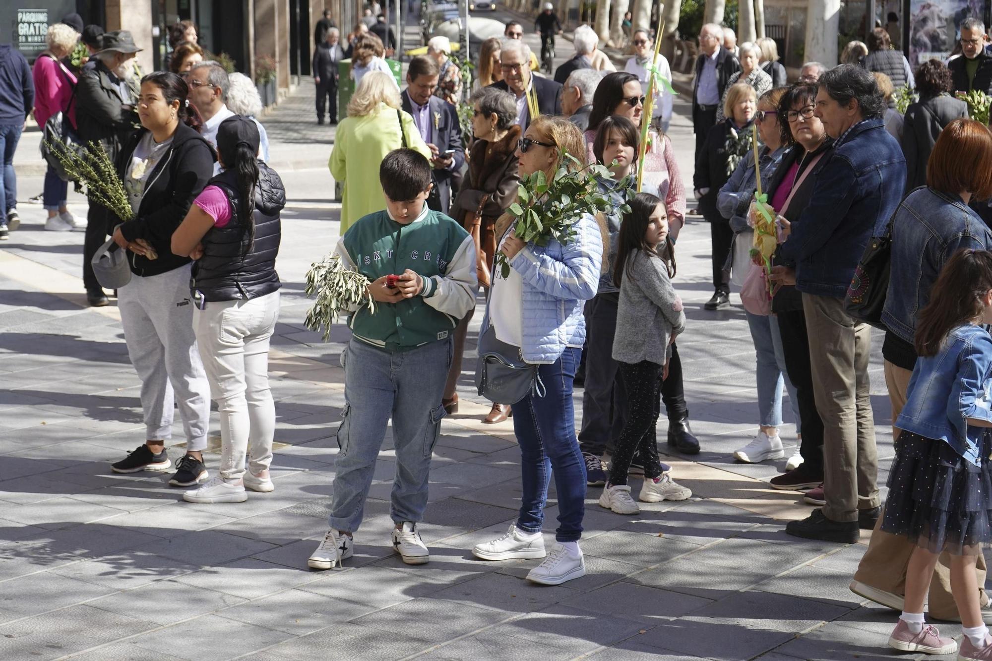 Imatges de la benedicció de Rams a Manresa