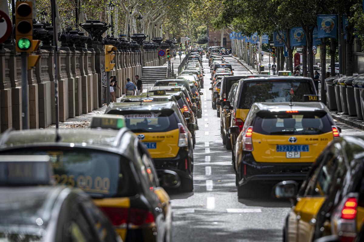 El sector del taxi volvió este martes a las movilizaciones