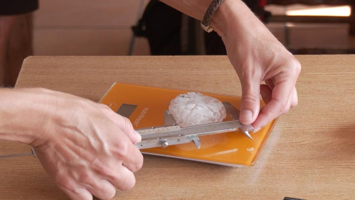 Una técnica del Meteocat analiza unas piedras de granizo recopiladas en Catalunya.