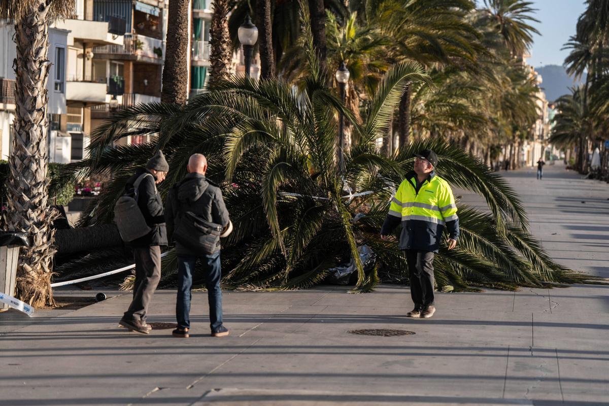 Temporal de viento en Badalona