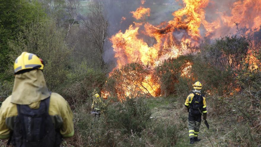 Un piloñés afronta una petición de 18 meses de prisión por provocar un incendio forestal