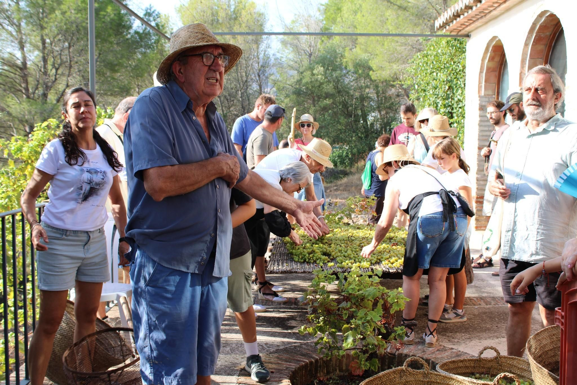Ròtova reviu l’escaldà del raïm: Una jornada de festa i tradició