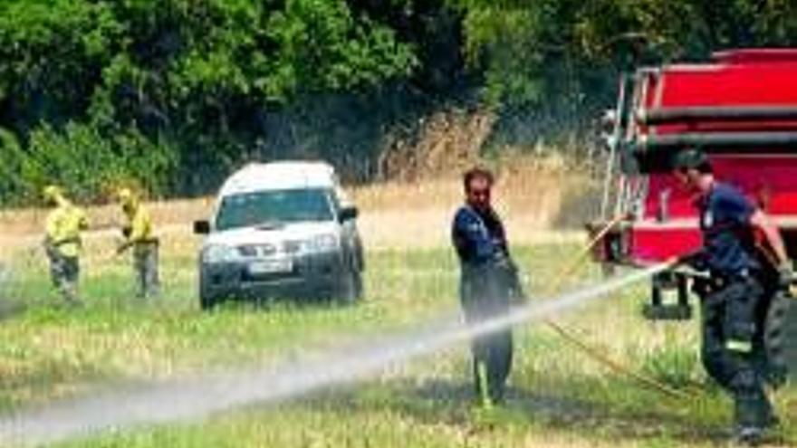 Arden 25 hectáreas de pastos en una finca junto a la Dehesilla