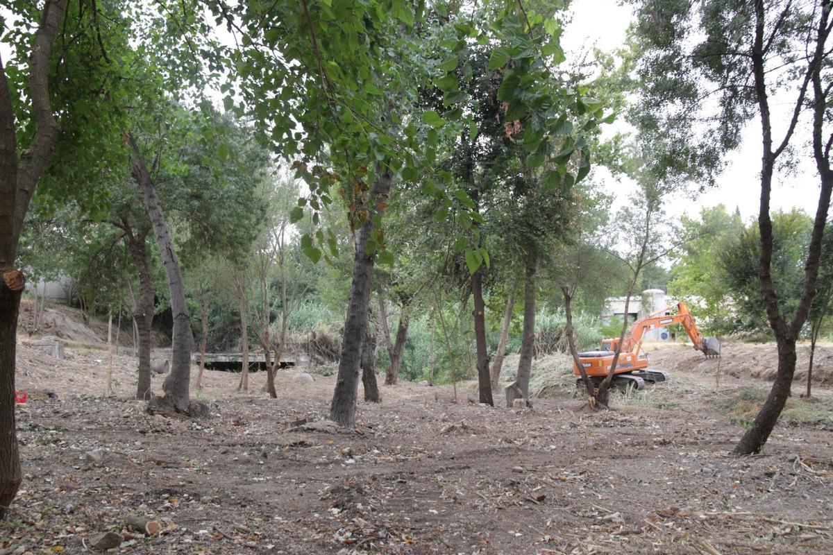 Limpieza de maleza en el parque del cascajar de Lucena.