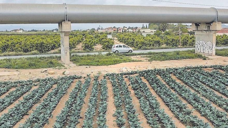 Los agricultores del Mar Menor se buscan la vida fuera de la Región para subsistir