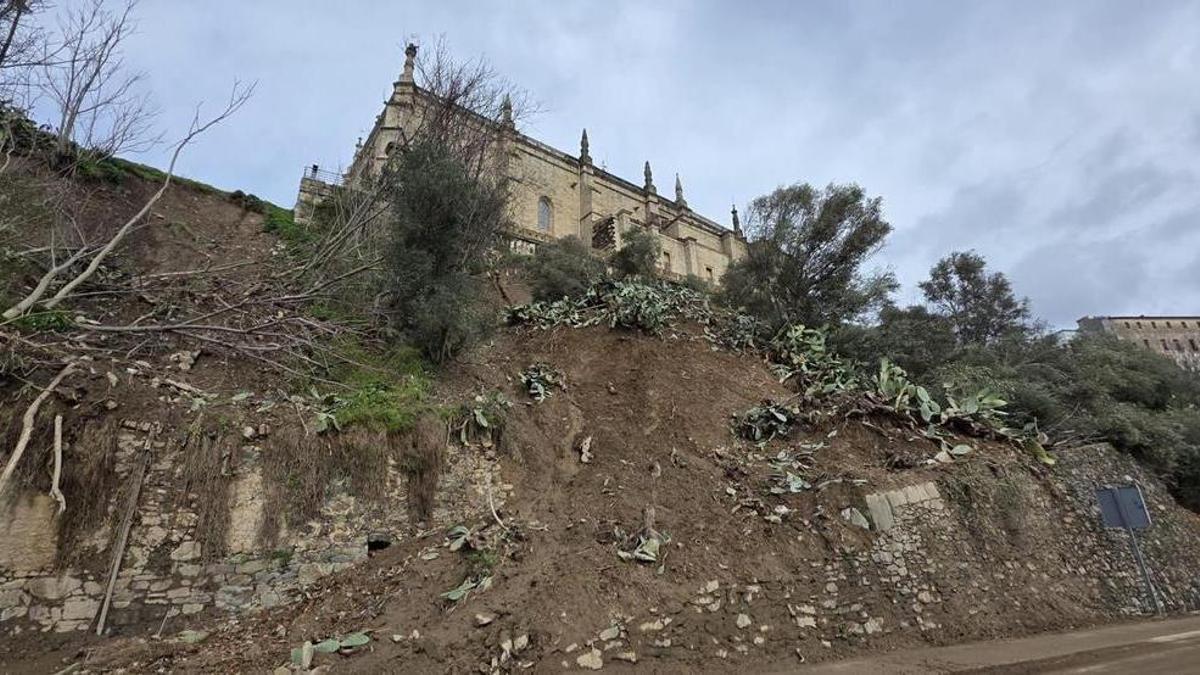 Estado de la ladera tras los daños causados por las borrascas hace meses.