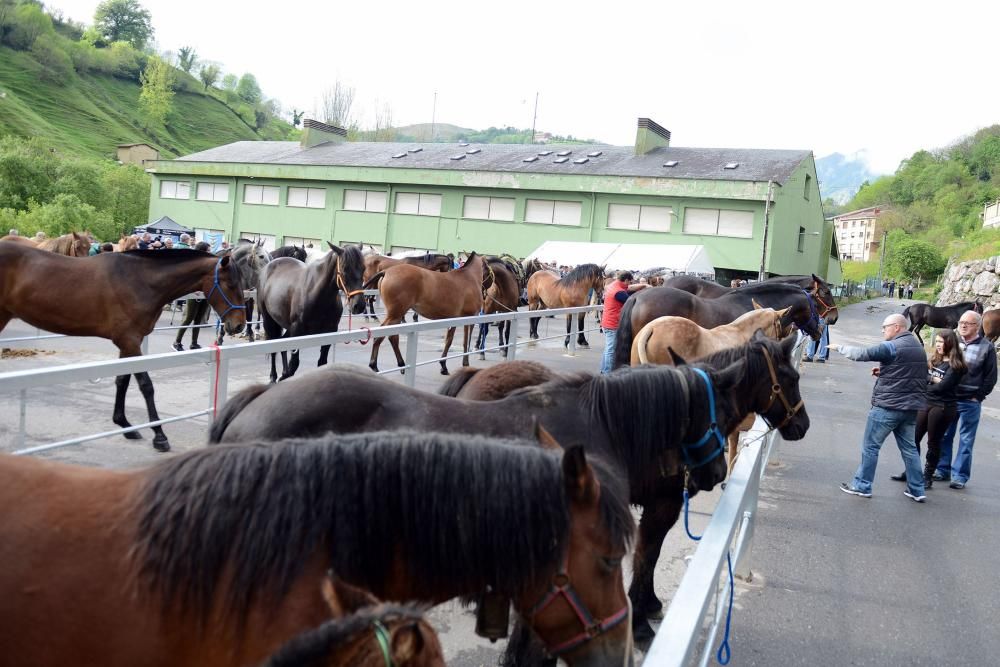 Feria del caballo de Riosa