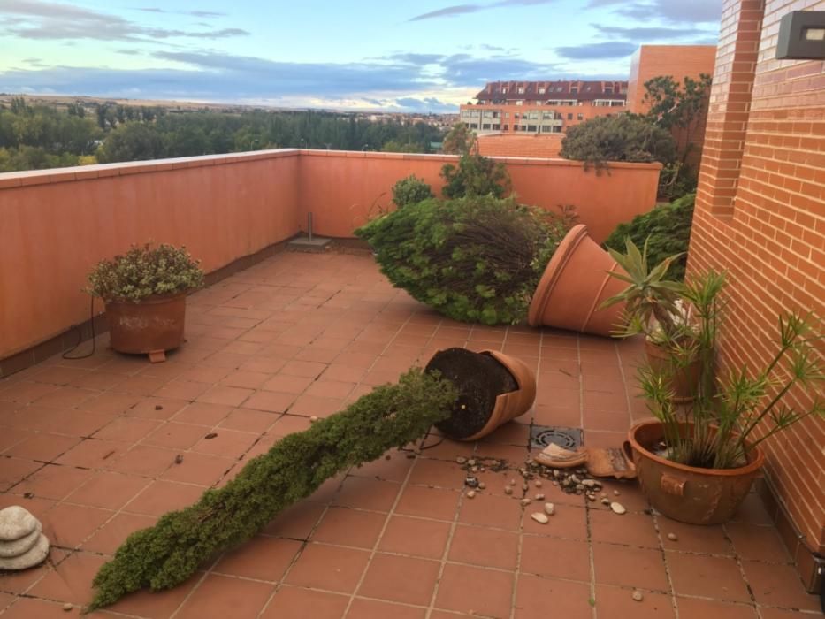 Así ha dejado Leslie la terraza de un ático